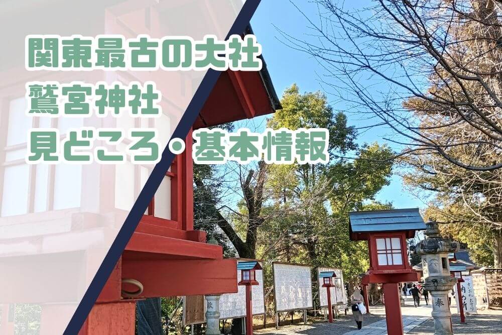 鷲宮神社初詣2025_タイトル01