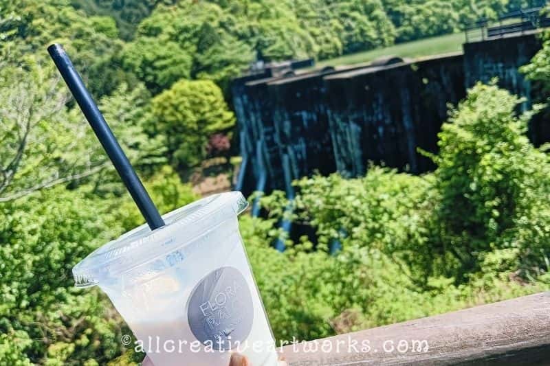 豊稔池堰堤_02