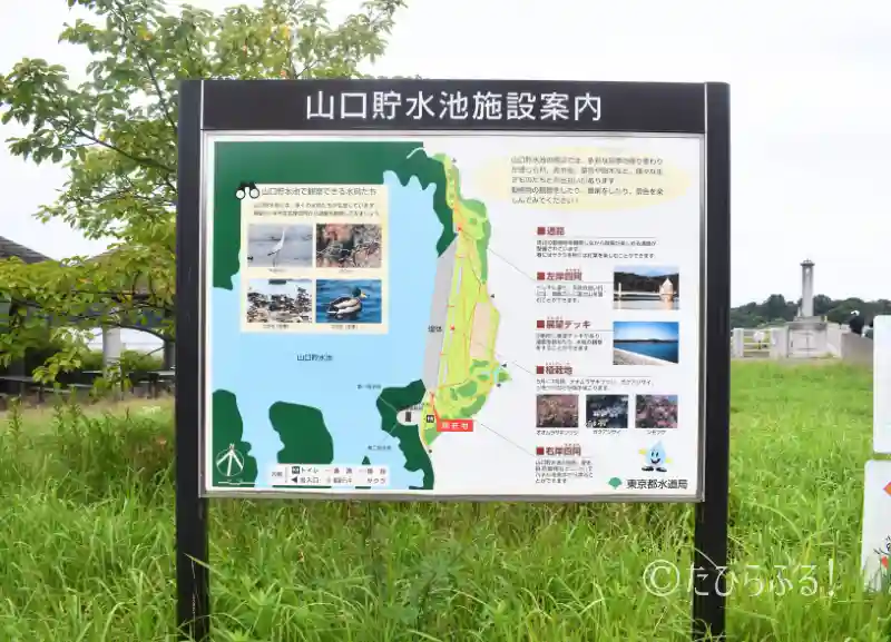 狭山湖_02