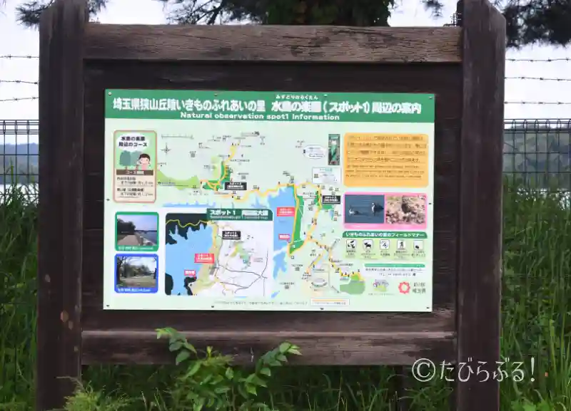 狭山湖_06