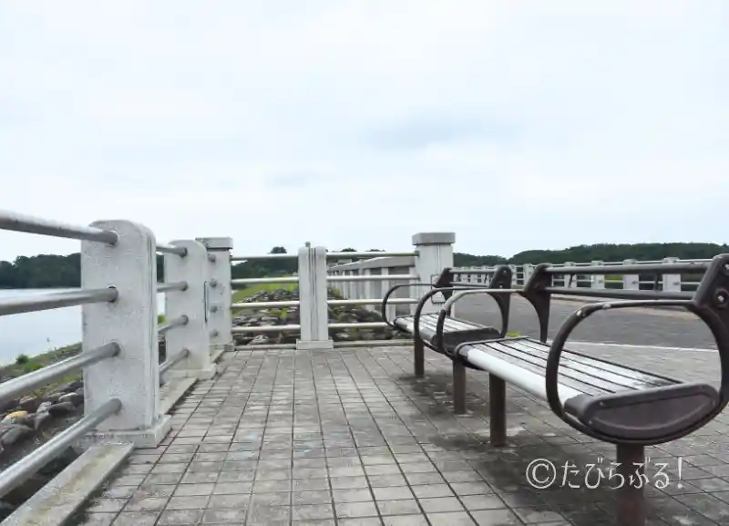 狭山湖_09