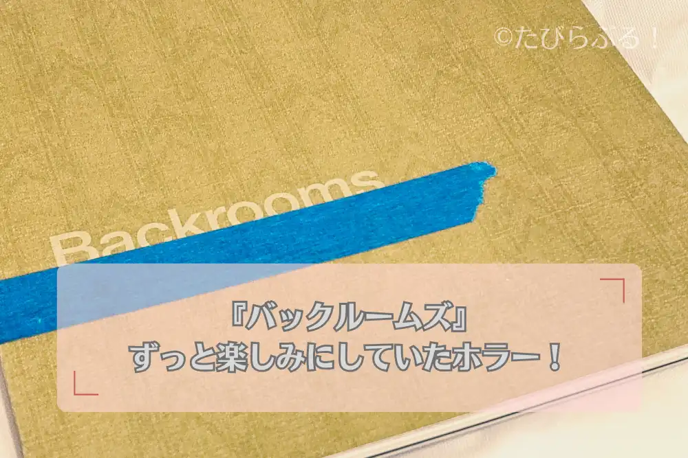 バックルームズ（趣味／感想）