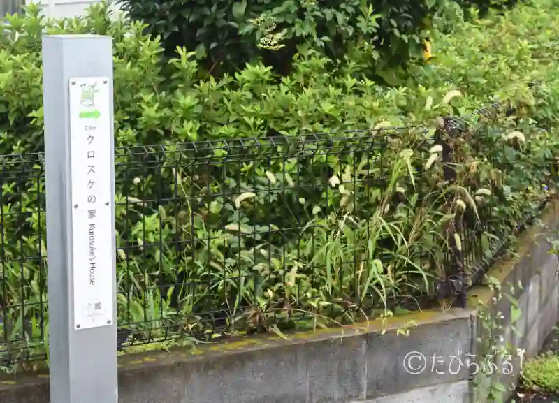 クロスケの家_04